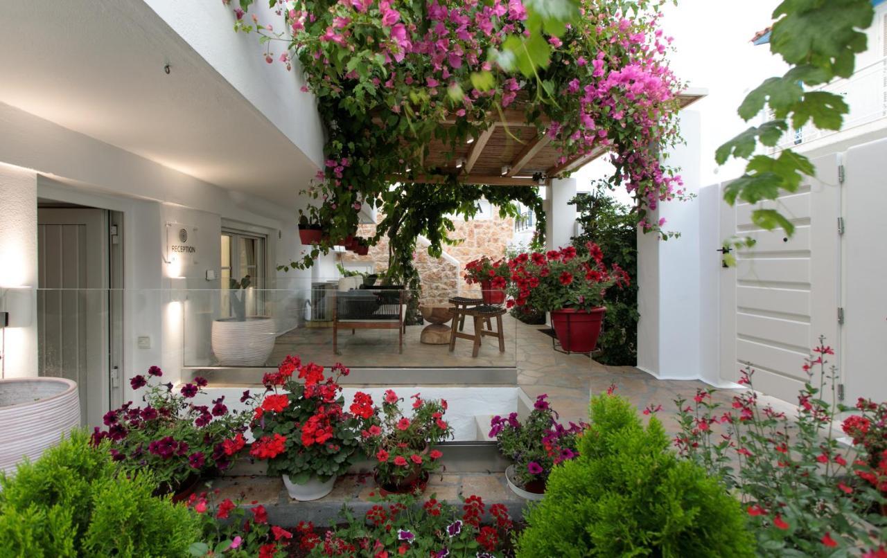 Manda Luxury Apartments Naxos City Ngoại thất bức ảnh